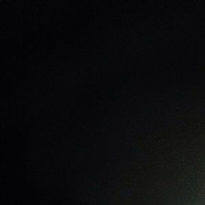 Meet your Posher, Dylan